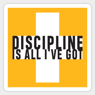 Discipline Magnet